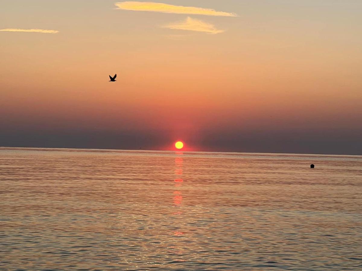 Complex Relax Pomorie All Inclusive Zewnętrze zdjęcie